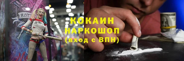 PSILOCYBIN Вяземский