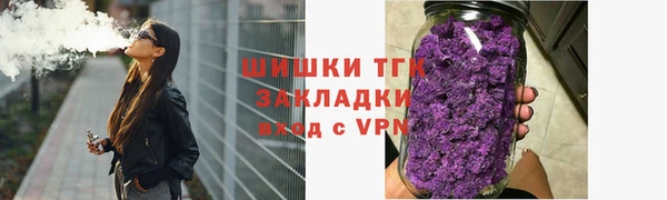 PSILOCYBIN Вяземский
