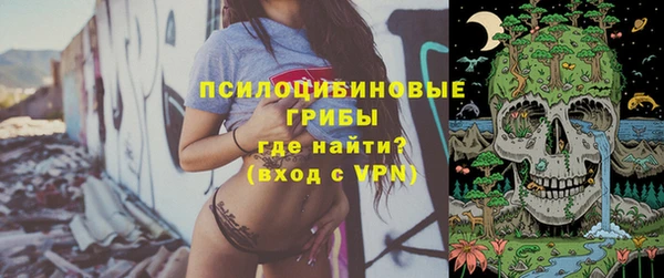 PSILOCYBIN Вяземский