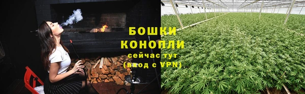 молекула духа Вязники