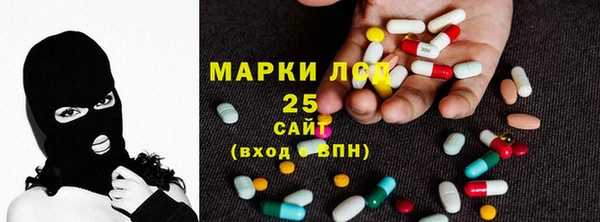 PSILOCYBIN Вяземский