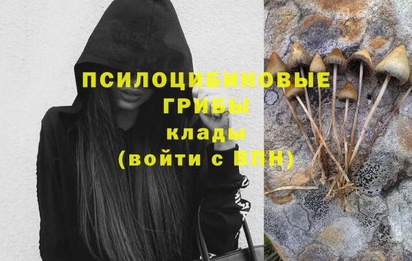 PSILOCYBIN Вяземский