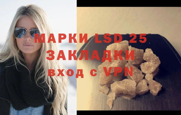 PSILOCYBIN Вяземский