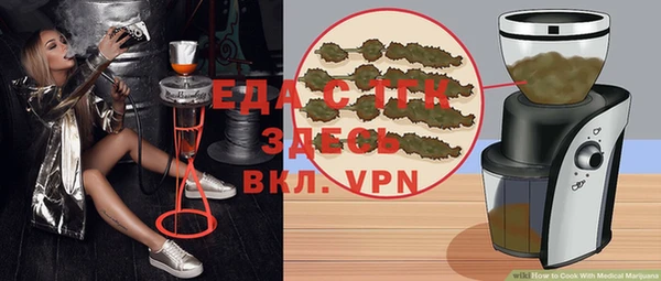 PSILOCYBIN Вяземский