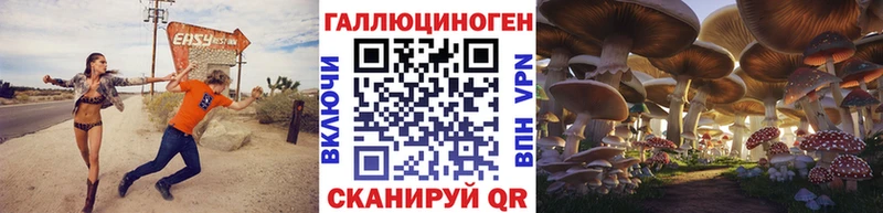 Псилоцибиновые грибы GOLDEN TEACHER  Купить  Киренск 